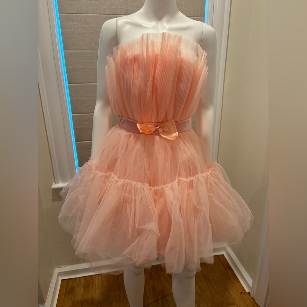 2 Strapless Tulle Mini Dresses ($100 each)